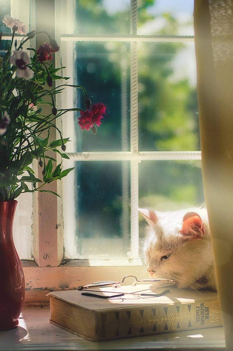 Botanical Bliss