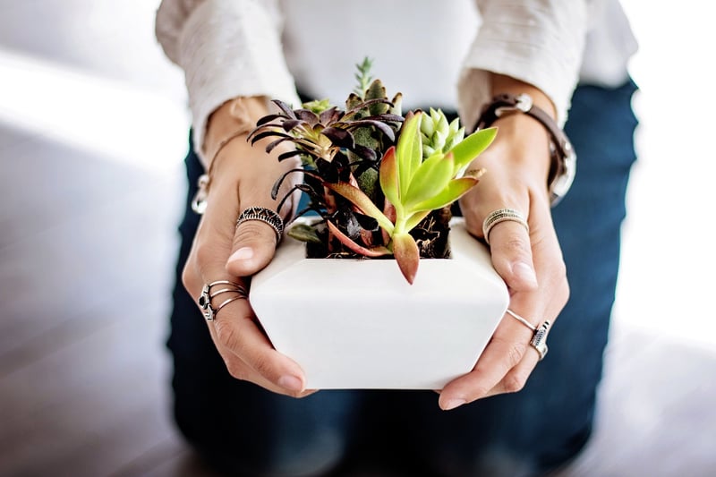 Tiered Hanging Pots